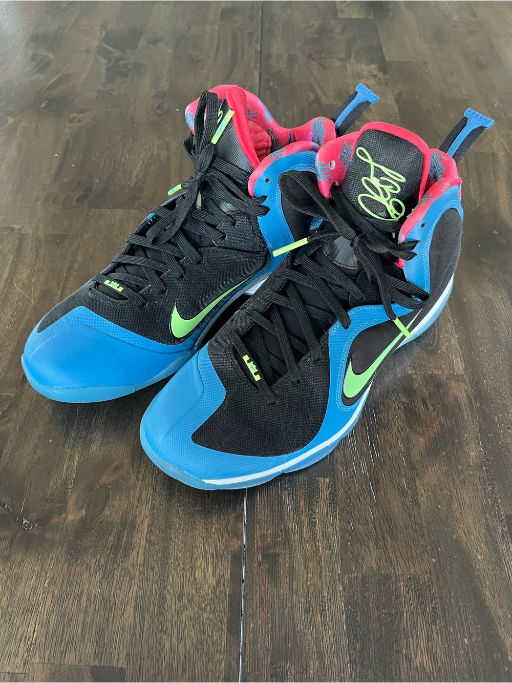 Nike LeBron 9 South Coast